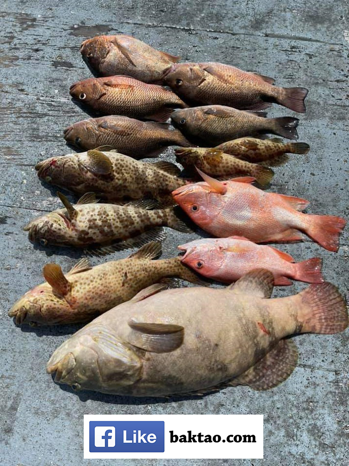 Changi Offshore Fishing with Ah Fong Using Octopus Big Bait for