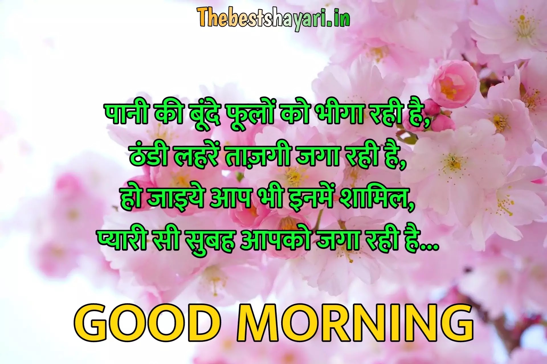 khubsurat good morning shayari in Hindi khubsurat good morning shayari in Hindi