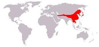 Asya siyah ayısı dağılım haritası