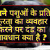 पशुओं के प्रति क्रूरता का व्यवहार करने पर दंड का प्रावधान क्या है ?