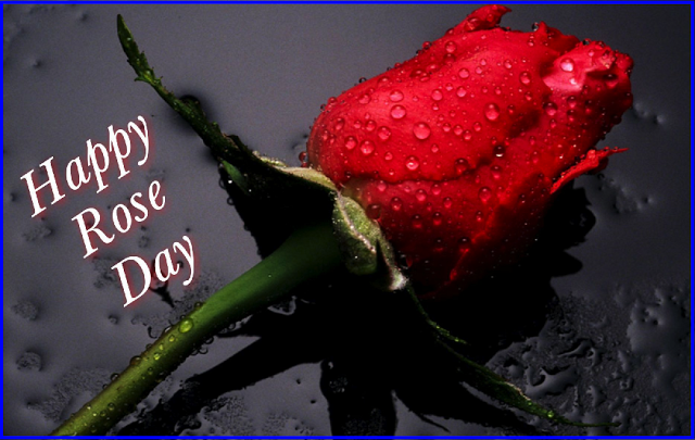 Happy Rose Day Images