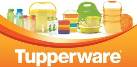 tupperware signoraware between which safe better difference