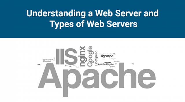 Web Server, Web Hosting, Hosting Reviews, Compare Web Hosting