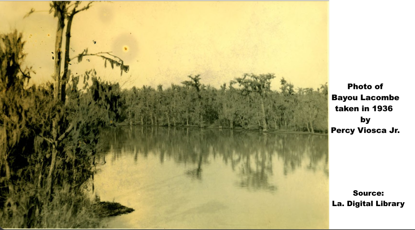 Tammany Family Library Looks at History