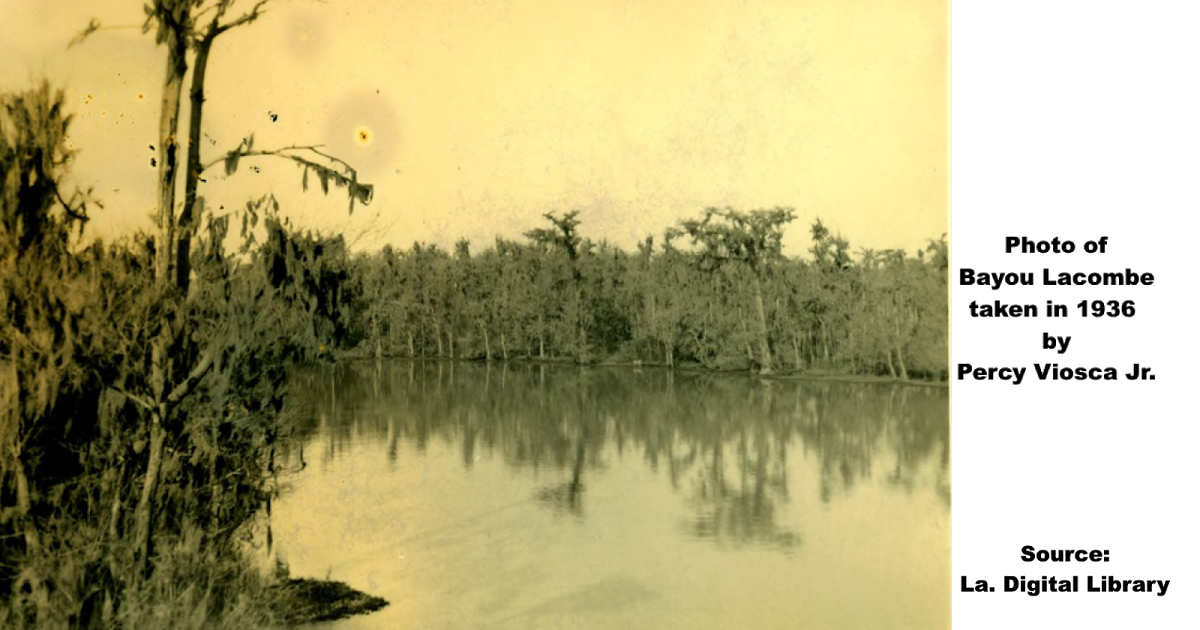 Tammany Family Library Looks at History