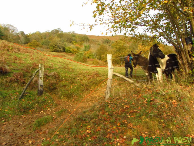 Subiendo al Collado La Espina