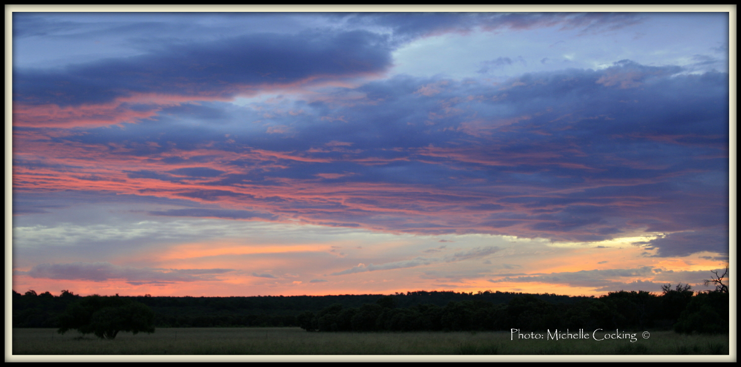 Life in Focus Project 365 Day 161 PreDawn Sky
