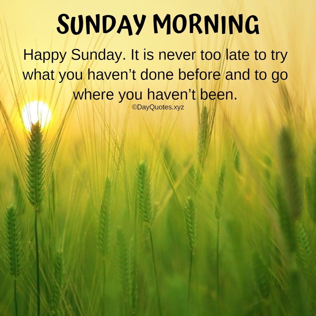 Sunday Morning Quotes For The Weekend Freshness Sunday Morning Quotes For The Weekend Freshness