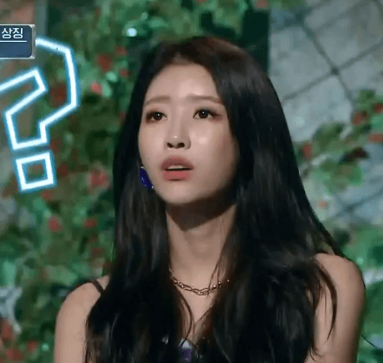 러블리즈 신비한 동물퀴즈 미주