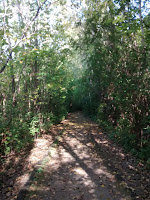 sentier parc-nature du Bois-de-liesse