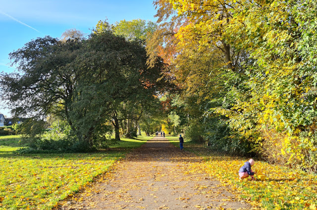 Küsten-Spaziergänge rund um Kiel, Teil 7: Herbst-Spaziergang am Nord-Ostsee-Kanal bei Suchsdorf. Auf unserem Rundweg sammeln die Kinder Blätter in allen Herbstfarben. So schön ist der Norden im Herbst!