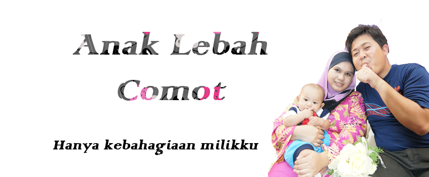 Anak Lebah Comot