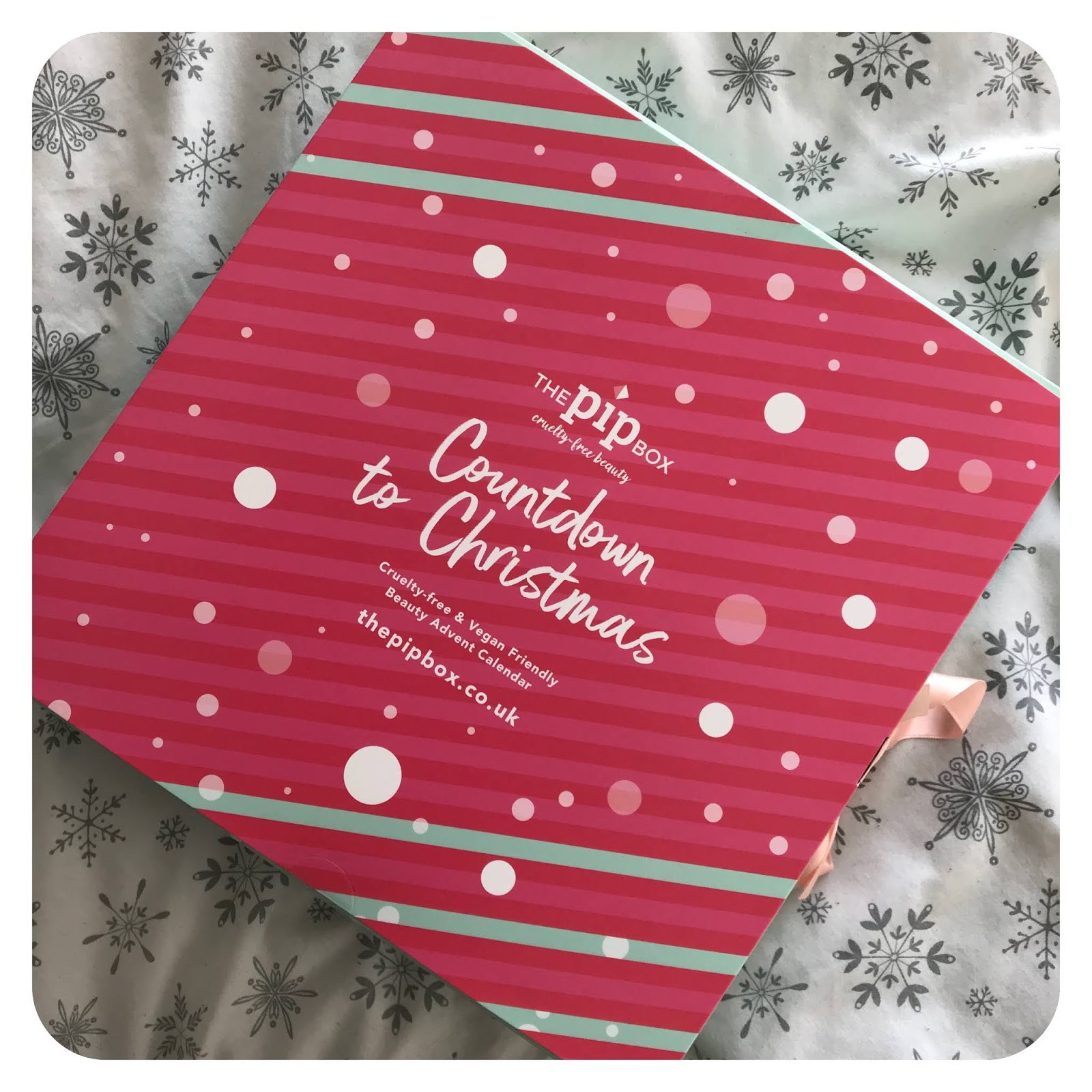 Rachel's Diaries The Pip Box Countdown To Christmas Advent Calendar