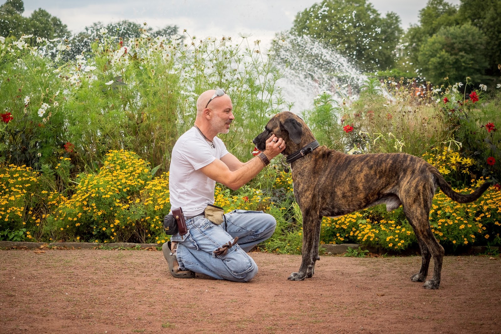 Haushalt Grune Gelsenkirchen
