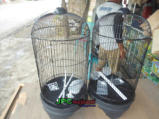 Harga Kandang Kapsul Dragon Toko Victory Bird Food Media Burung
