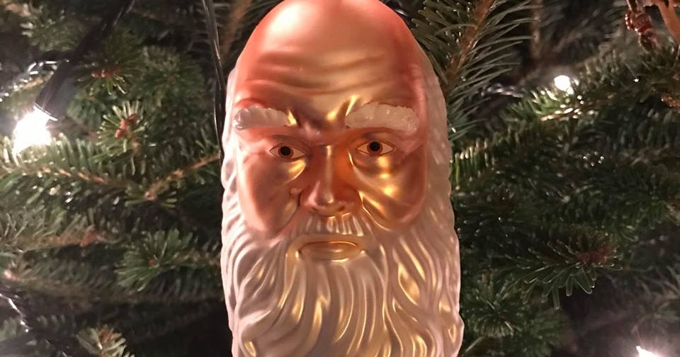 terrierman s daily dose charles darwin on the christmas tree terrierman s daily dose charles darwin on the christmas tree