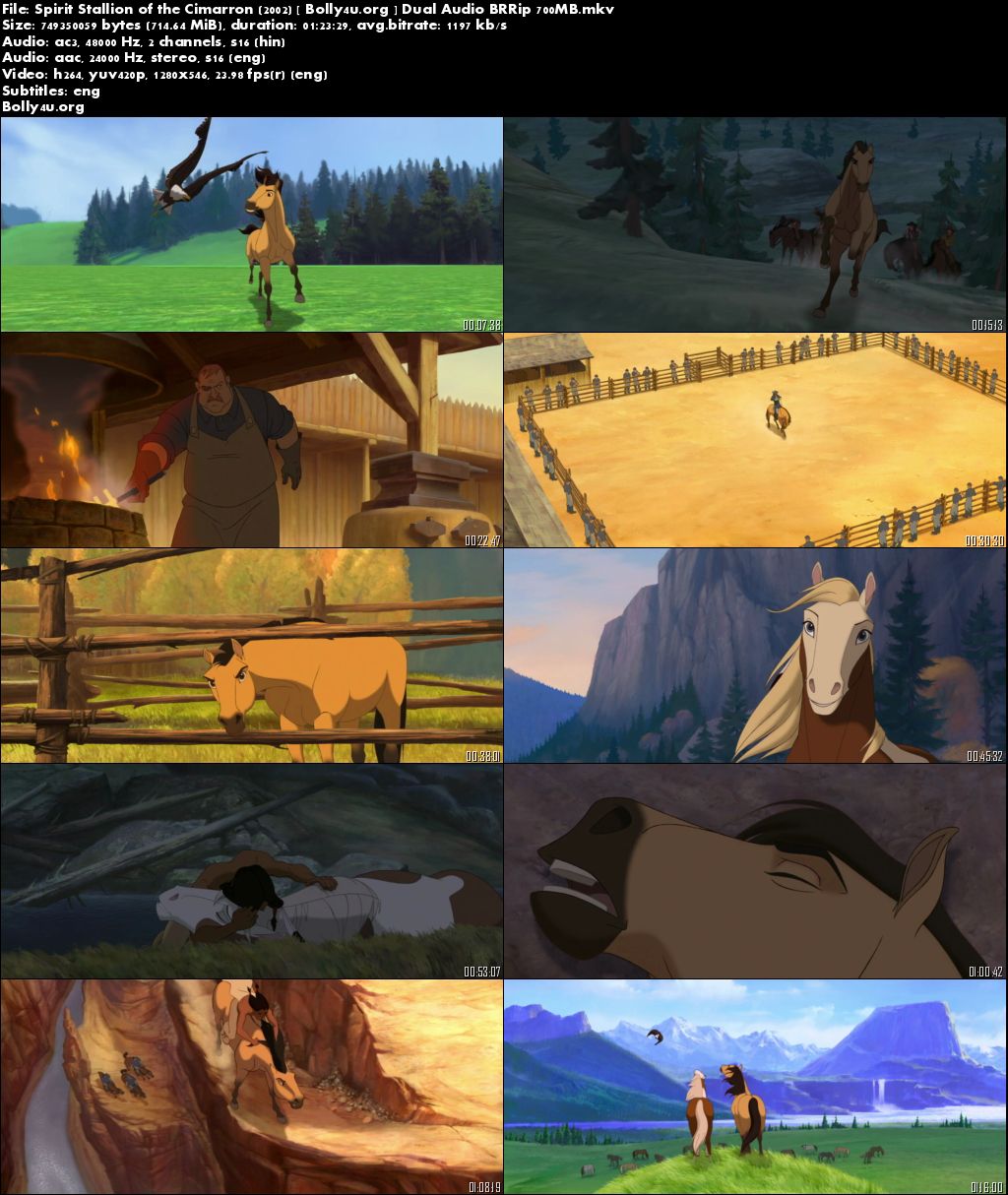 Spirit Stallion of the Cimarron 2002 BluRay Hindi 720p Dual Audio Download