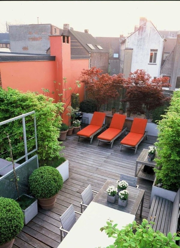 Terrace garden – beautiful design ideas!
