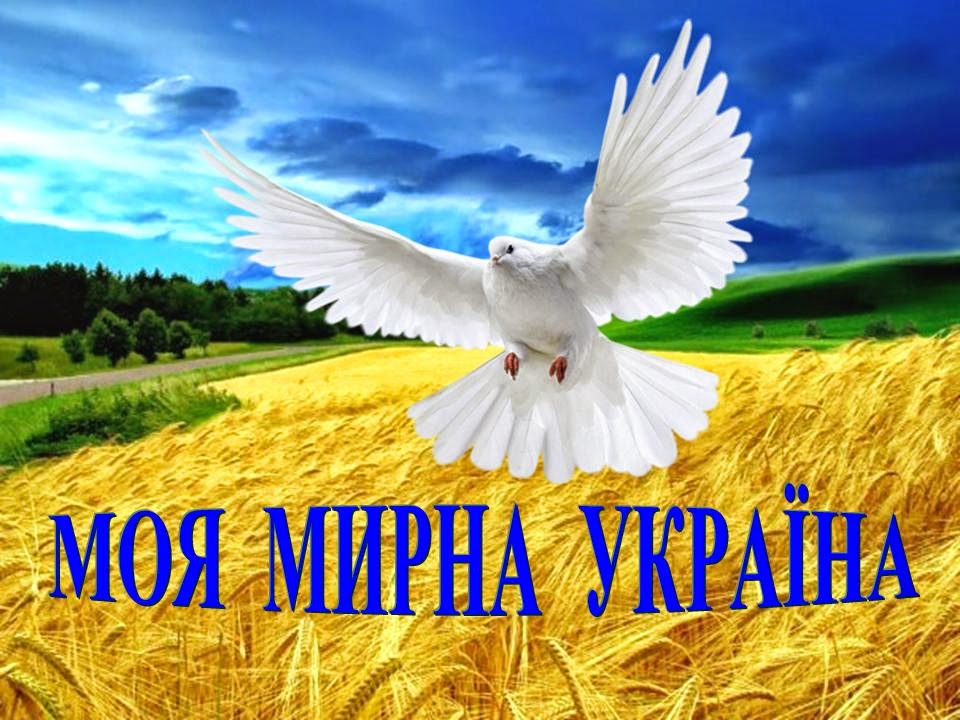 Мирна Україна" у Райгородоцькій ЗЗСО