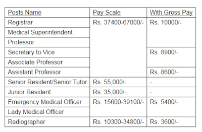 Absentia form baba farid university image