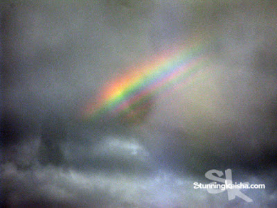 We Never Forget Good Furrends—Rainbow Bridge Remembrance Day 2017