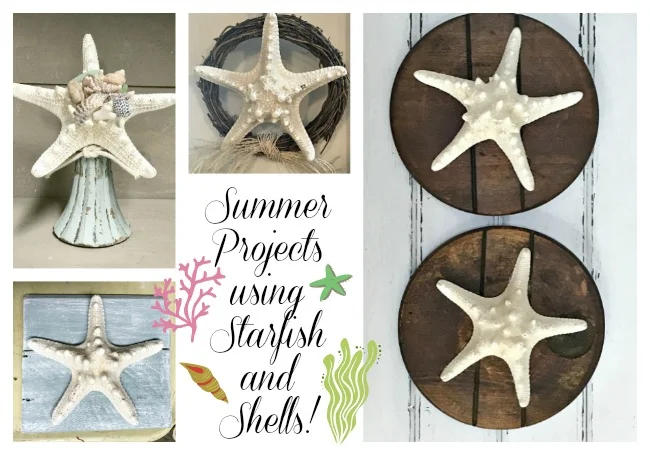 Summer projects using shells and starfish