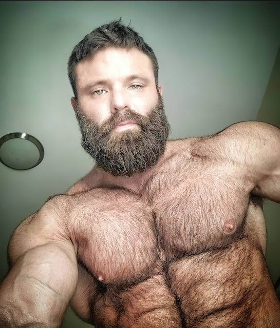 Spectacular Hairy Daddy Bodybuilder Hunks