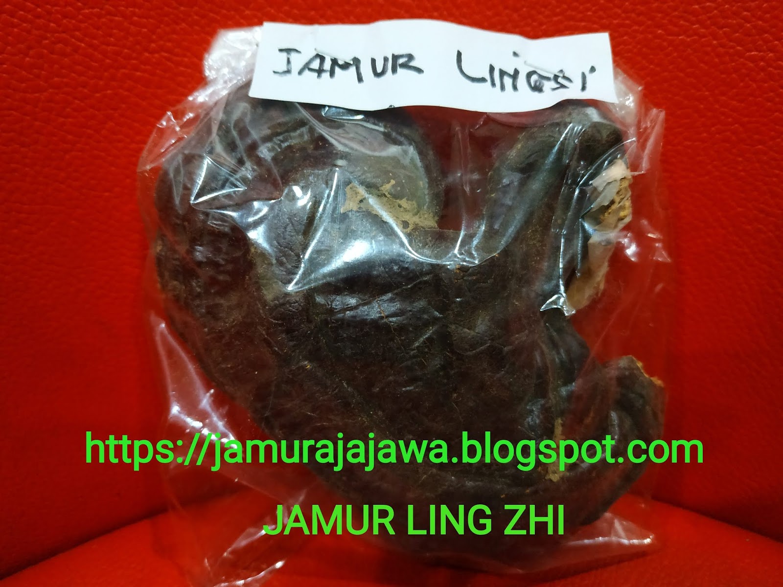 JAMUR LING ZHI OBAT UNTUK KANKER, DARAH TINGGI/HIPERTENSI, DIABETES
