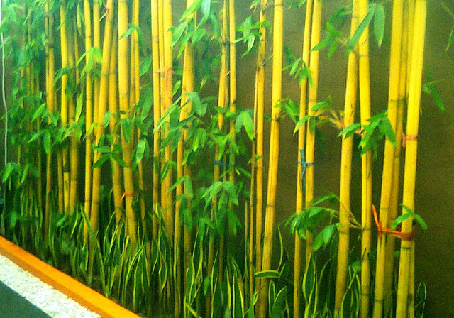 Inspirasi Jenis Tanaman untuk Pagar Rumah - Arsitur Studio