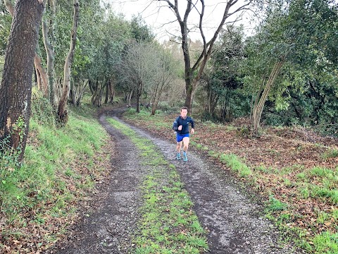 Es hora de ponerse en marcha