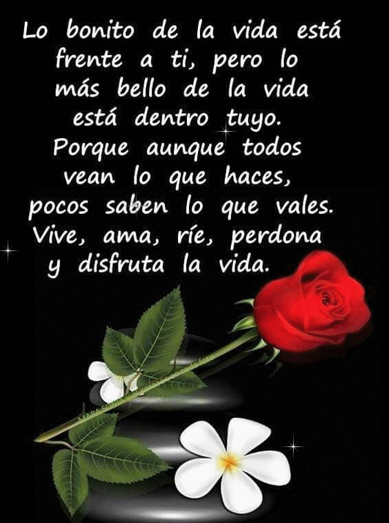 FELIZ DÍA A LA VIDA: Lo bonito de la vida