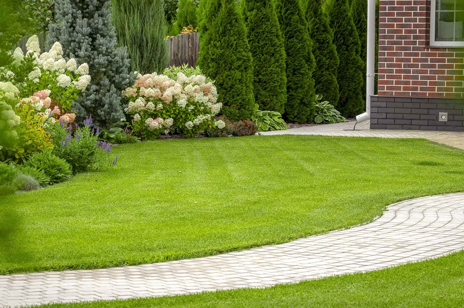 Keep Your Lawn Looking Good with These Effective Tips AnnMarie John