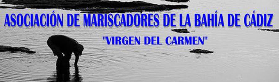 Mariscadores de la Bahía de Cádiz