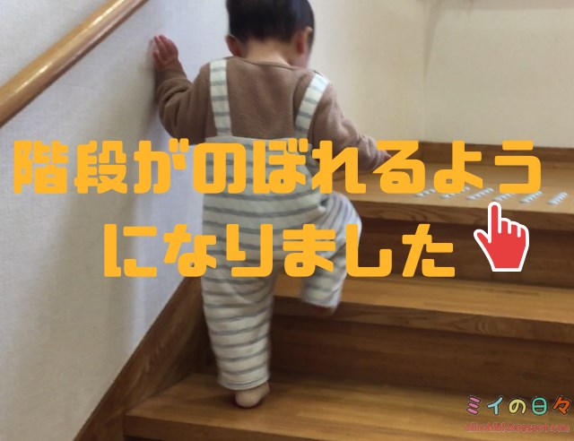 赤ちゃん 階段 のぼる 手 動画