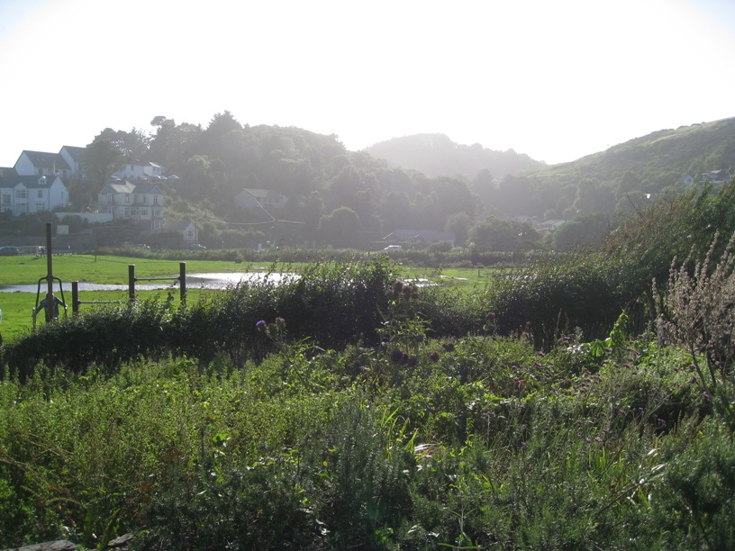 caniwalkmummy Seaton Sensory Garden, Seaton, Cornwall