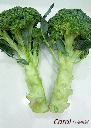 Carol 自在生活 青花菜食譜集合 Broccoli Recipe