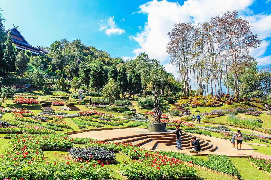 Importance of Trees to the Environment Benefits of Planting a Tree