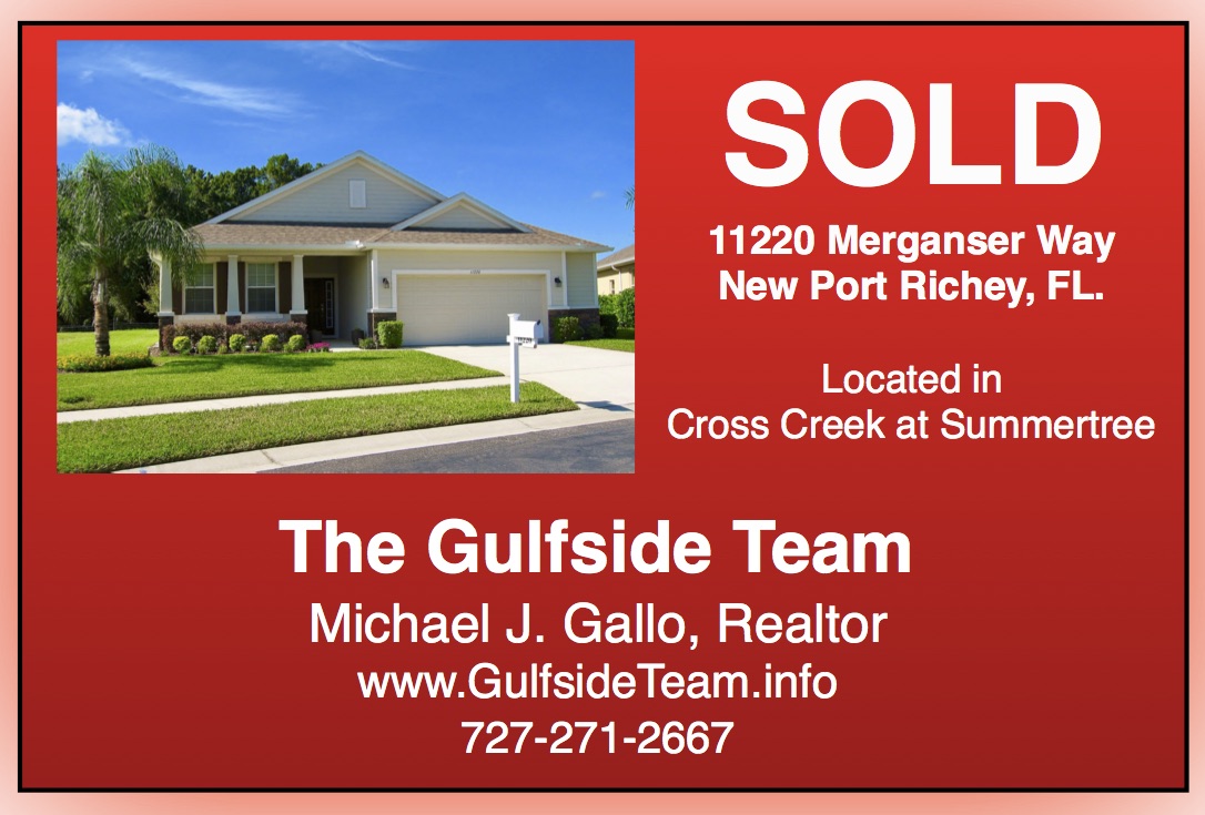 Summertree in New Port Richey Florida