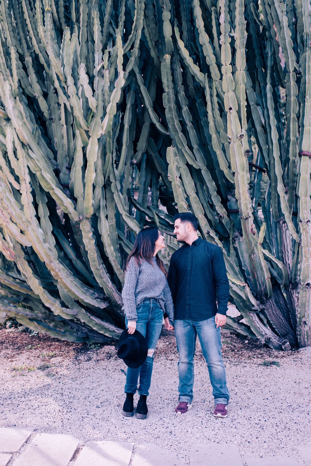Presets Tone Blue Pink Cho Blogger – Blue Pink Lightroom Presets (XMP, DNG, LR)