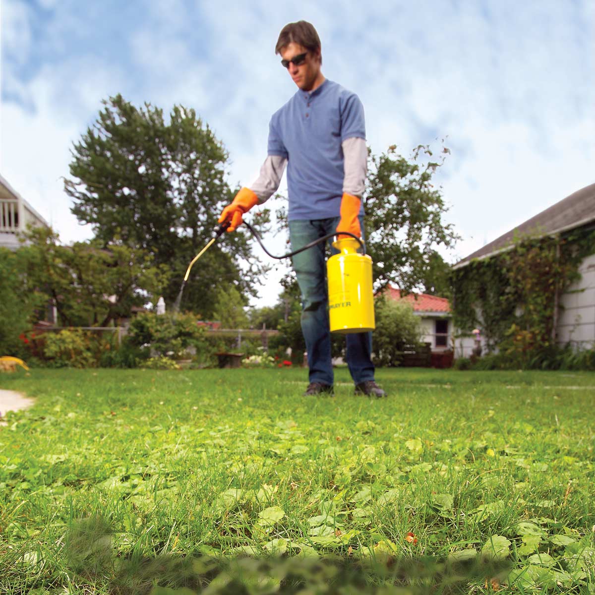 Lawn Health In Weed Control Best Manual Lawn Aerator