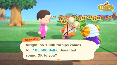 Buying Turnips On Animal Crossing