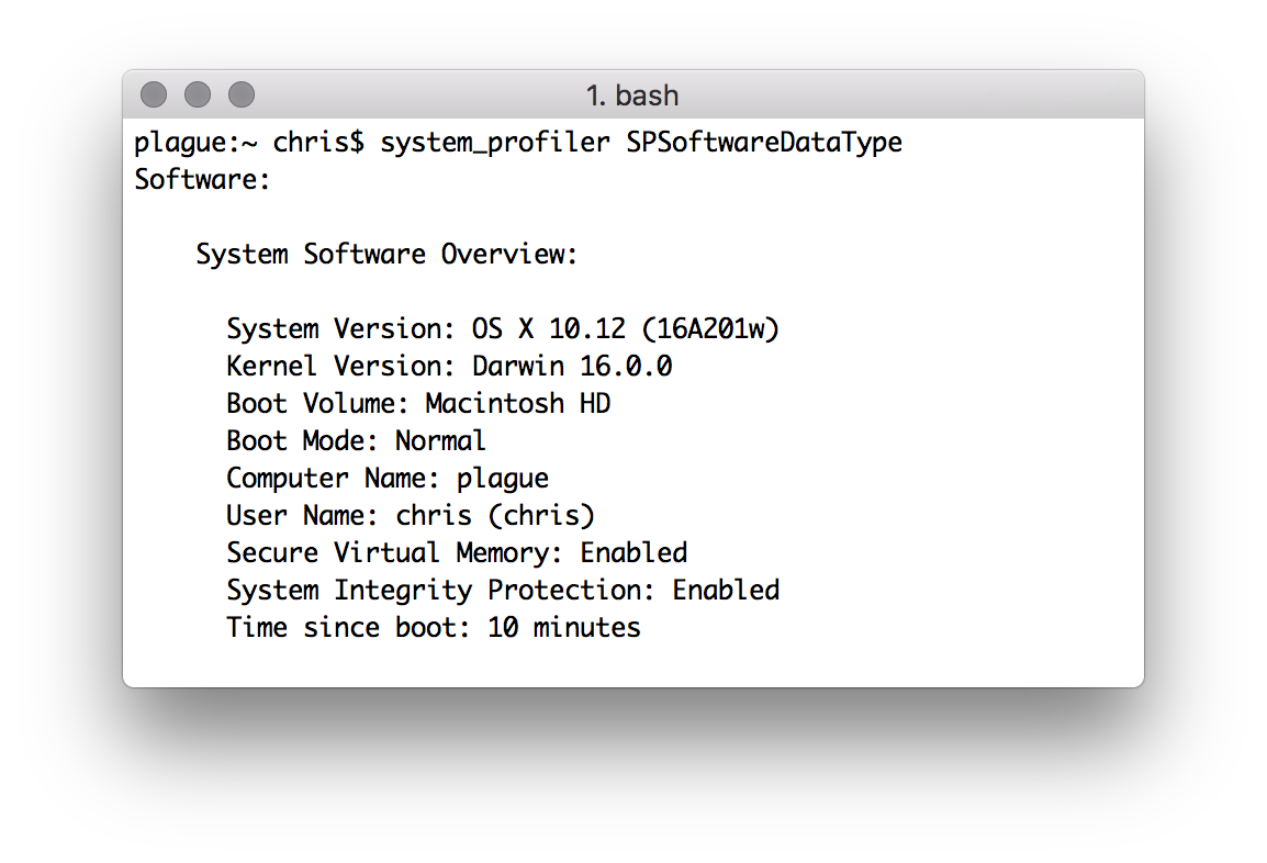 Chris Laird macOS 10.12 Sierra Flush DNS