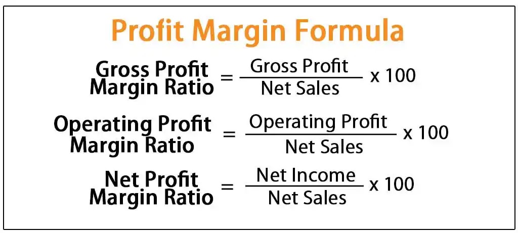 profit margin business plan example