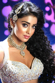 WALL PC: Shriya Saran HD Wallpapers