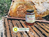 miel sin glifosato ecoapi ecoapicultores 