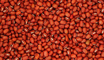  Kacang merah