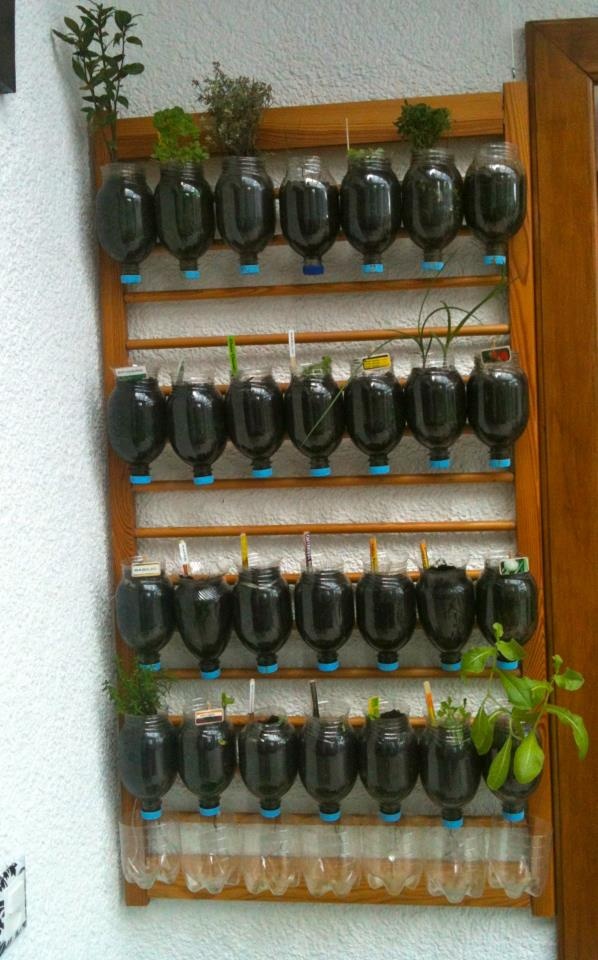 30 Hanging and wall garden ideas for your decor - Diy Fun World