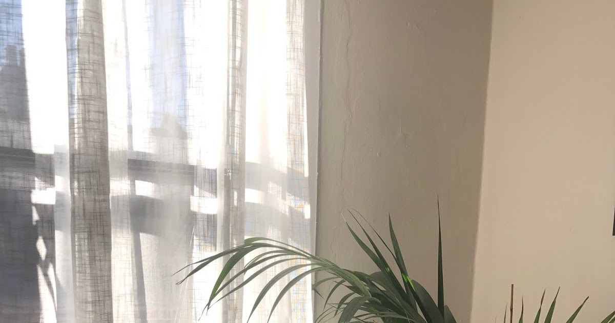 Does the carpet match the drapes?