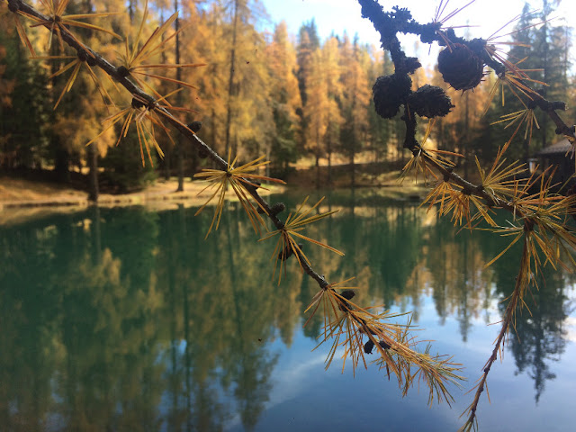 cortina d'ampezzo foliage autunno