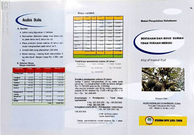 Leaflet Budidaya dan Peluang Bisnis Durian nur fadilah S